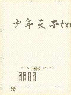 少年天子txt