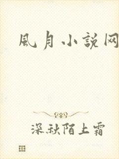 风月小说网