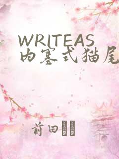 WRITEAS内塞式猫尾