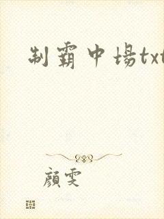 制霸中场txt