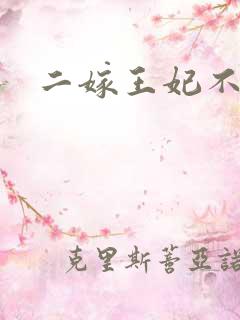 二嫁王妃不好惹