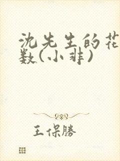 沈先生的花式调数(小非)