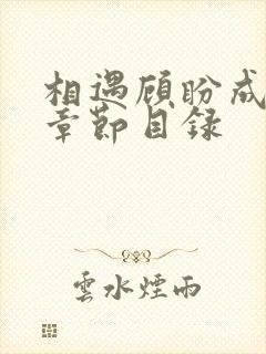 相遇顾盼成欢全章节目录