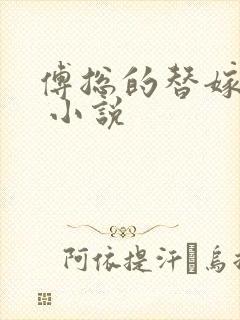 傅总的替嫁娇妻 小说