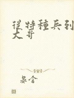 从特种兵到黑道大哥