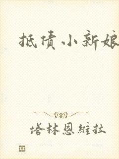 抵债小新娘
