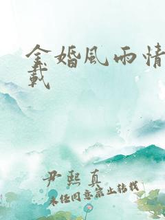 金婚风雨情 下载