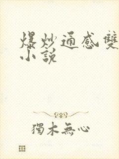 爆炒通感双胞胎小说