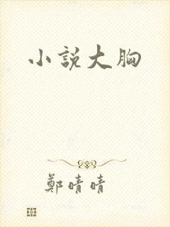 小说大胸