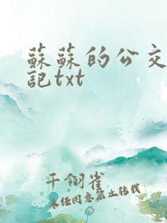 苏苏的公交车日记txt