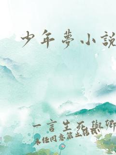 少年梦小说
