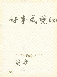 好事成双txt