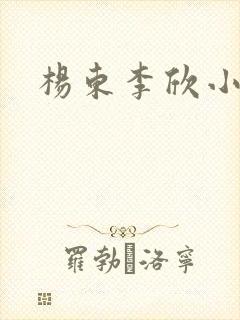杨东李欣小说