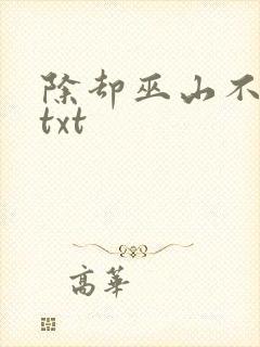 除却巫山不是云txt