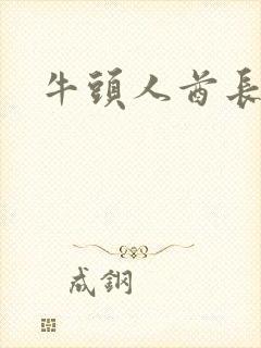 牛头人酋长战斧