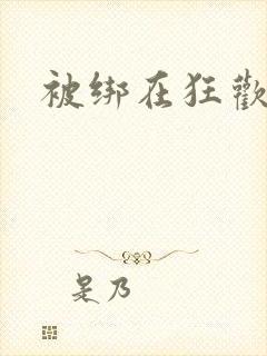 被绑在狂欢之椅