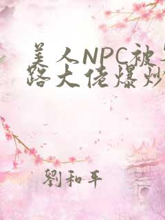 美人NPC被各路大佬爆炒小说