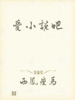 爱小说吧