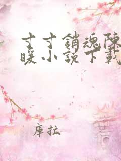 寸寸销魂陈聪王暖小说下载