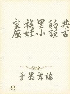 家族里的共用小座娃小说古代