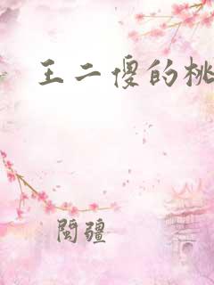 王二傻的桃花运