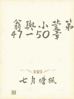 翁与小莹第十部47一5O章