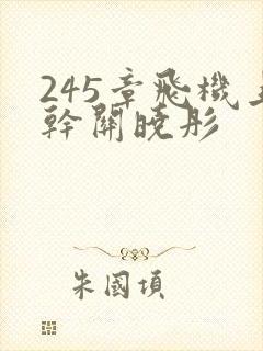 245章飞机上干关晓彤