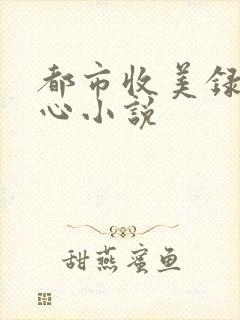 都市收美录宁素心小说