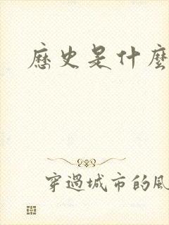 历史是什么玩意