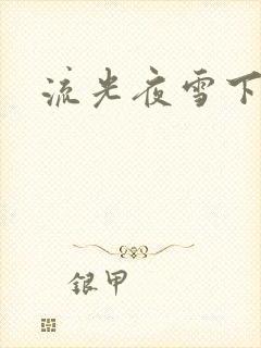 流光夜雪下载