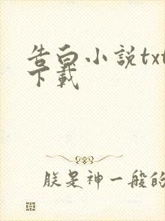 告白小说txt下载