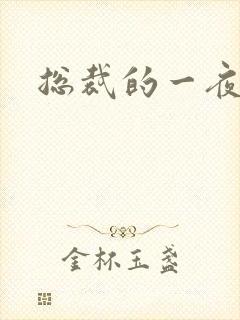 总裁的一夜情人