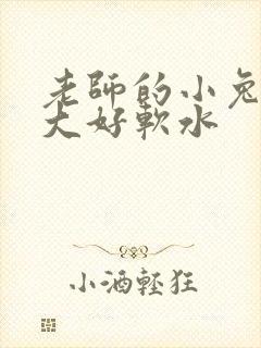 老师的小兔子好大好软水
