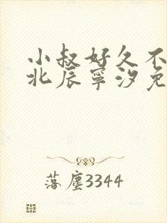 小叔好久不见顾北辰宁汐免费阅读