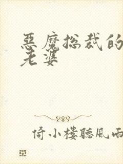 恶魔总裁的宝贝老婆