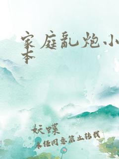 家庭乱炮小说全本