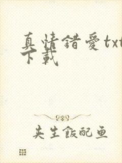 真情错爱txt下载