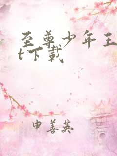 至尊少年王txt下载