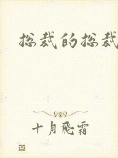 总裁的总裁情妇