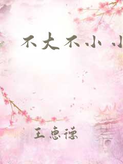 不大不小 小说