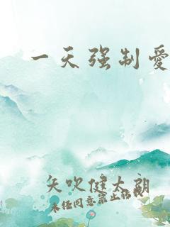 一天强制爱