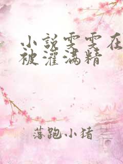 小说雯雯在工地被灌满精