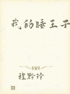 我的睡王子殿下