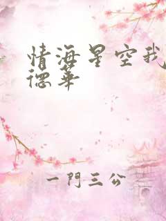 情海星空我与刘德华