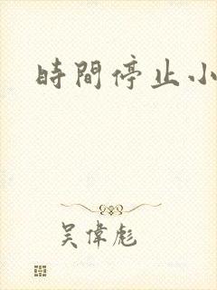 时间停止小说