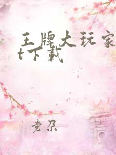 王牌大玩家txt下载