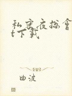 私密夜总会txt下载