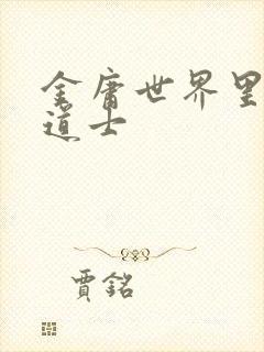 金庸世界里的小道士