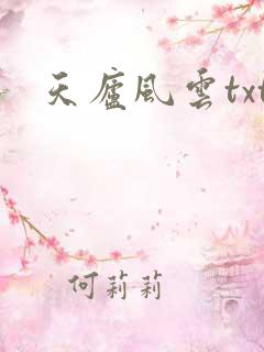 天庐风云txt