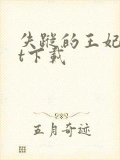 失踪的王妃txt下载